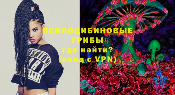 Альфа ПВП Аркадак