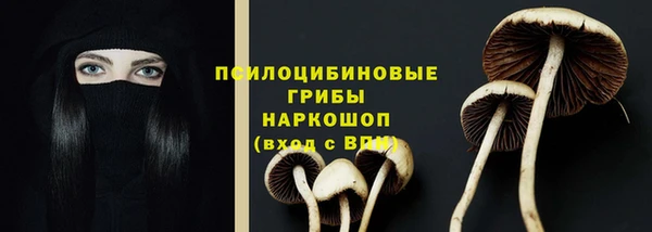 соль ск Армянск