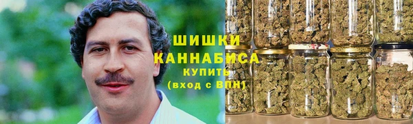 Альфа ПВП Аркадак