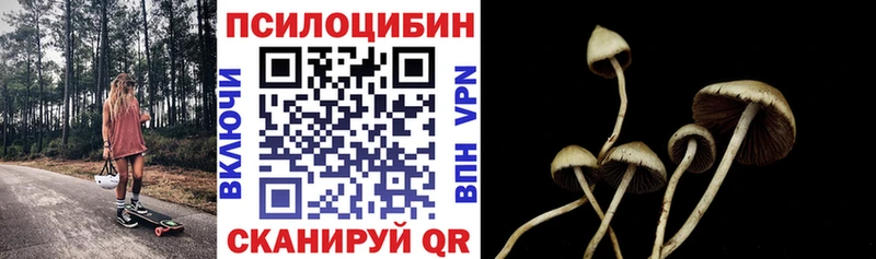 Галлюциногенные грибы MAGIC MUSHROOMS  мега сайт  Рошаль 